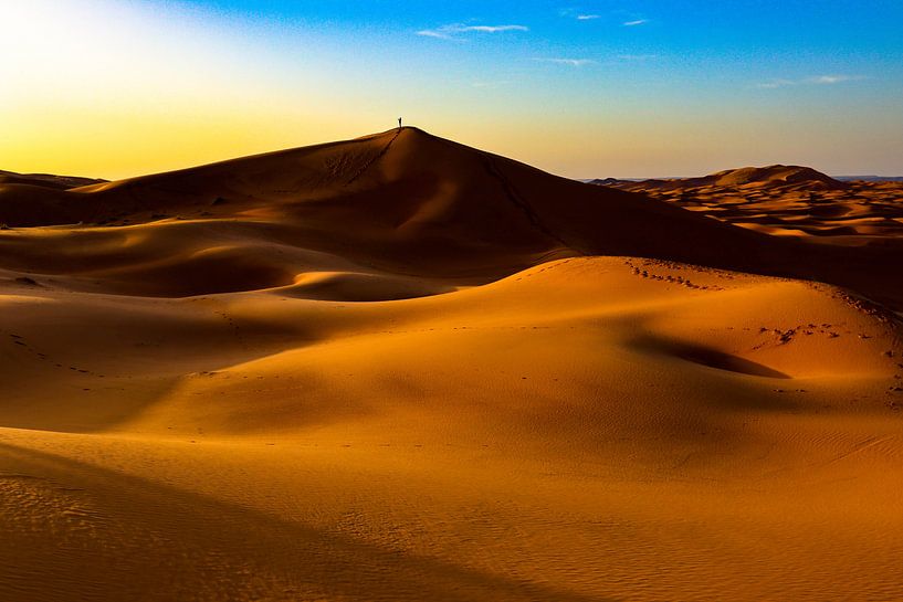 Alone in the world par Natuur aan de muur