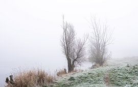 Heteren part 20 by Tania Perneel