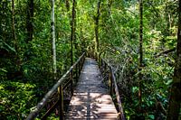 Costa Rica, Holzbrücke