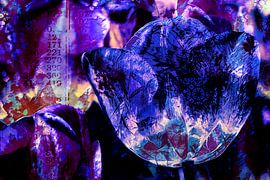 Die blaue Tulpe und wirklich viel mehr