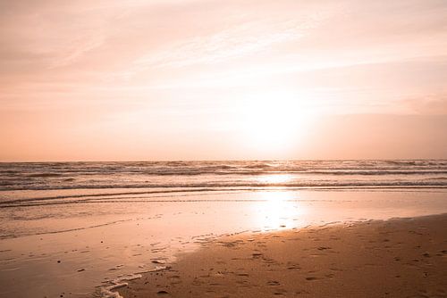 Die Brandung und der Strand des niederländischen Meeres