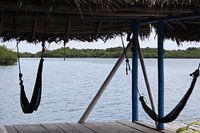 Hammocks