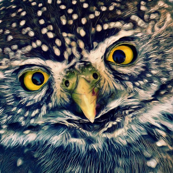 Owl by AD DESIGN Photo & PhotoArt