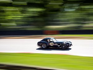 Cobra