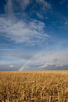 Halve regenboog boven Canadese prairie
