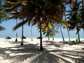 'Onder de palmen', Zanzibar van Martine Joanne thumbnail