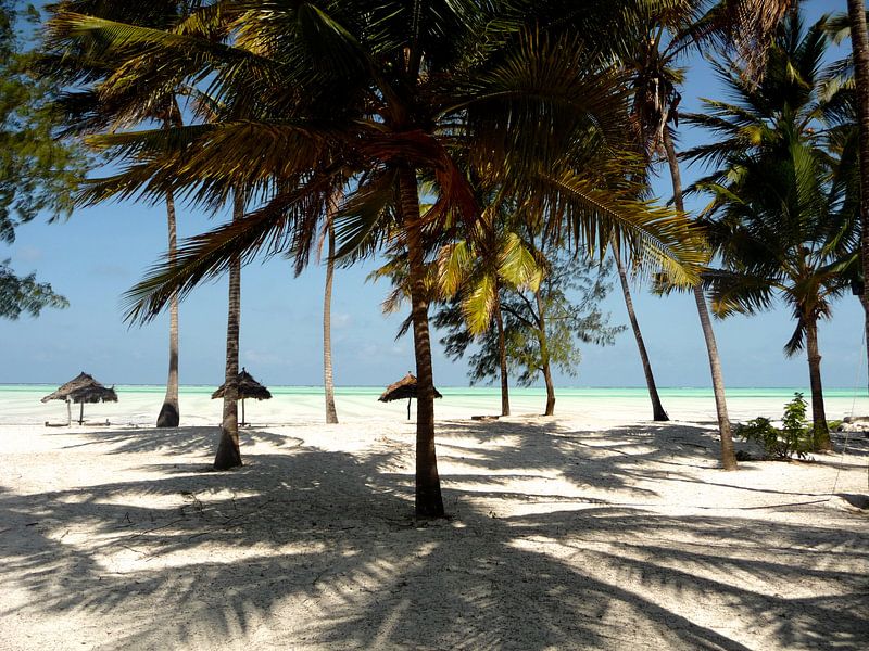 'Onder de palmen', Zanzibar van Martine Joanne