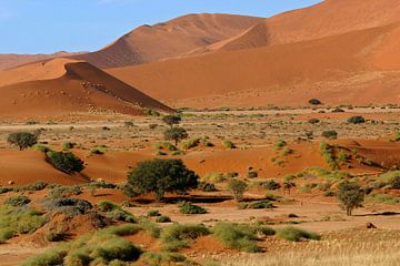 Sossusvlei in Namibië van Antwan Janssen