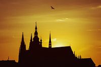 the church 