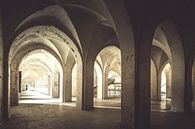 The old cloister by Truus Nijland thumbnail