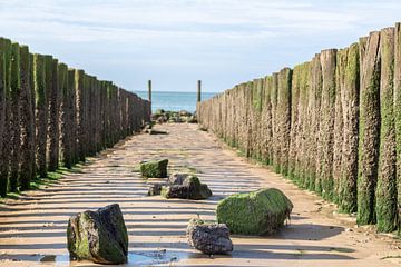 Palenrij met stenen op het strand van Zoutelande (Zeeland) van Fotografie Jeronimo