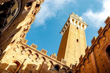 Binnenplaats en klokkentoren van Palazzo Pubblico, het Gotische stadhuis van Siena, Toscane, Italie, van WorldWidePhotoWeb