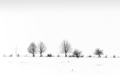 Stilte in het winterlandschap