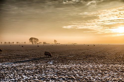 Winterlandschap met zonsondergang
