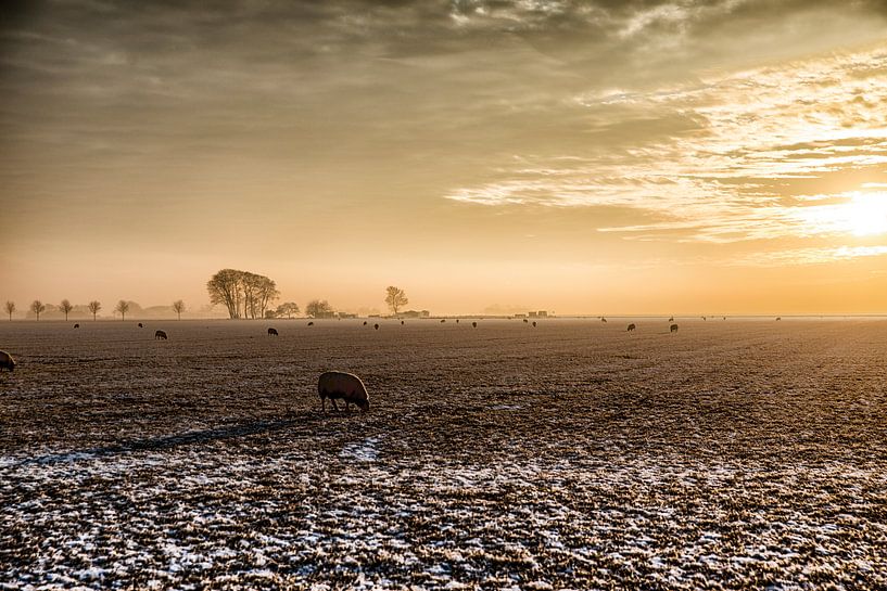 Winterlandschap met zonsondergang van Jan Sportel Photography
