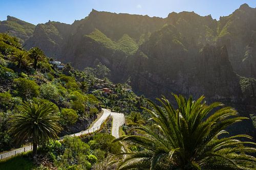 Verborgen natuur op Tenerife, Masca