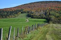 Fields in autumn by Claude Laprise thumbnail