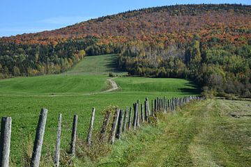 Fields in autumn by Claude Laprise