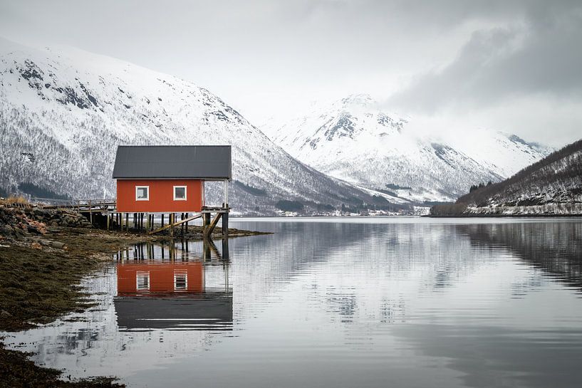 Winter mood by HaGee_Photo