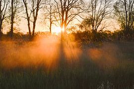Sanfter Sonnenaufgang von Jisca Lucia