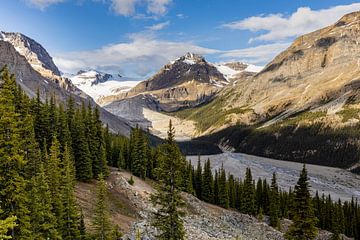 The Peyto Glacier in the Rocky Mountains by Roland Brack