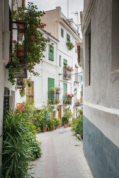 typical street in andalusia spain with white houses and basket with flowers in the street by ChrisWillemsen