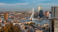 De Erasmusbrug