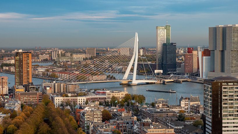 De Erasmusbrug van 24 liquidmedia