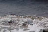 Zeeland zee zoutelande van Kuifje-fotografie thumbnail