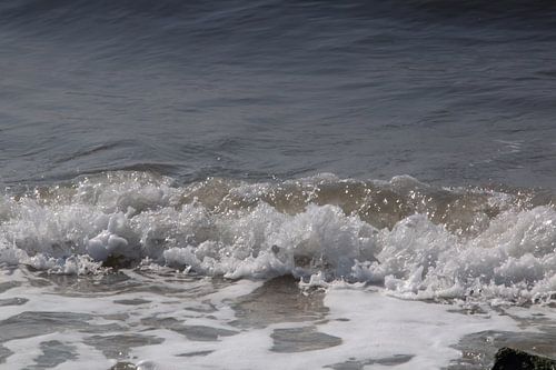 Zeeland sea salt country