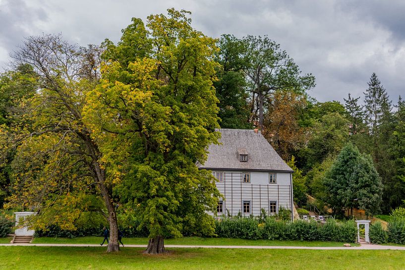 Welcome to the Ilmpark in the classic city of Weimar by Oliver Hlavaty