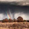 Regenbogen über dem Leersumer Feld von Martijn Schruijer