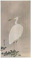Ohara Koson - Little Egret in the Rain (edited)