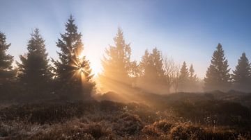 Mist in de Harz van Steffen Henze