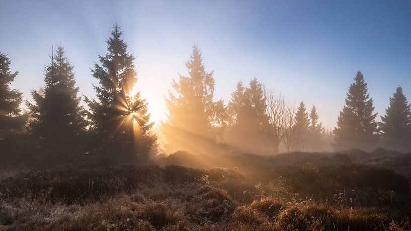 Mist in de Harz van Steffen Henze