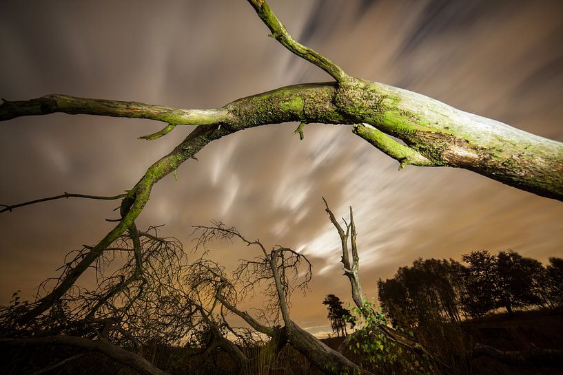 Moment in time by Joop Snijder