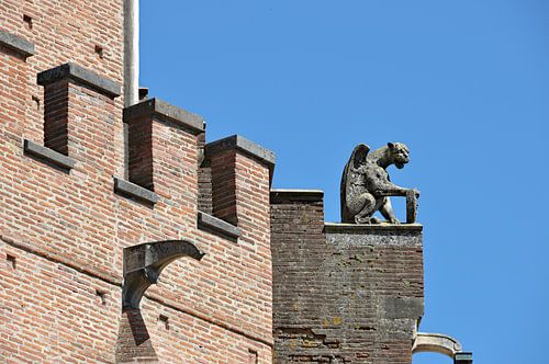 Waterspuwers van Pamiers: beschermers van de kathedraal