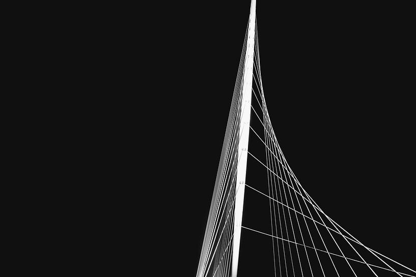 The wing by On Your Wall