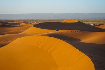 Allein am Rande der Wüste von Janne Sophie van den Hamer
