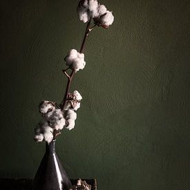 Still life with cotton plant by Ellen Gerrits