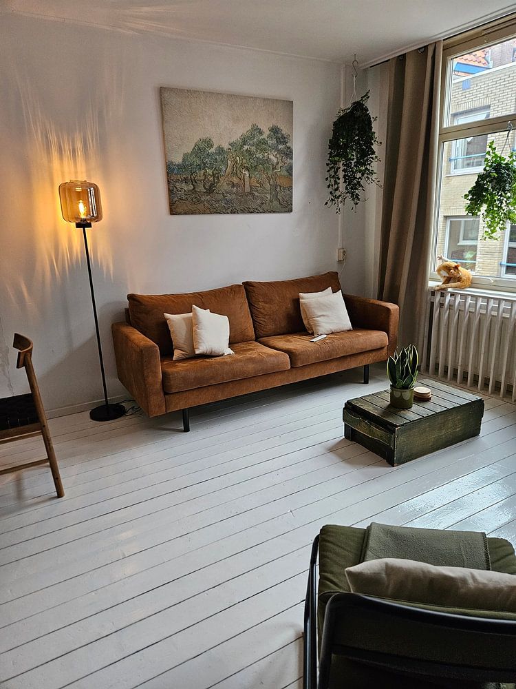 The Olive Orchard, Vincent van Gogh 