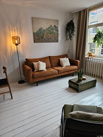 de Olijfgaard, Vincent van Gogh