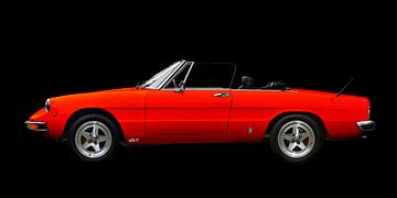 Alfa Romeo Spider "Coda Tronca" van aRi F. Huber