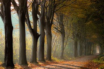 There's light at the end of the tunnel