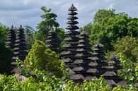 Pura Taman Ayun - tempel Bali van Leanne lovink thumbnail