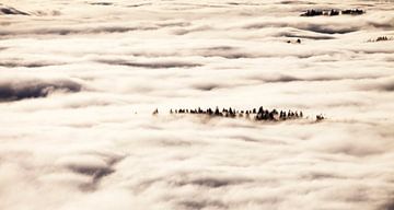 Couverture de nuages sur Jürgen Wiesler