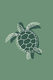 Turtle on Green by DS.creative