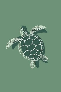 Schildkröte auf Grün von DS.creative
