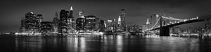 Lagere Manhattan Skyline