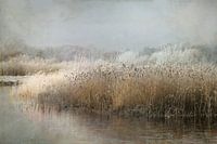 Winterochtend